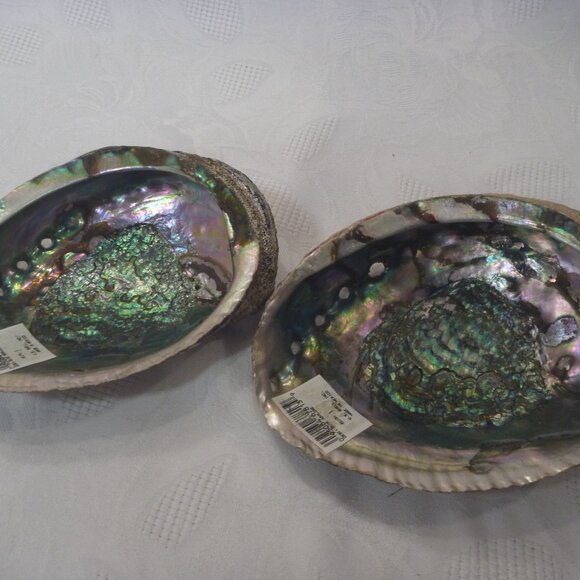 2 pcs Set Large Abalone Seashell Sea Snail Shell Smudge Smudging Bowl décor - Picture 9 of 11